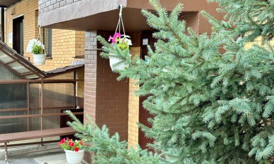 Центр Мирра в Иркутске в Правобережном округе фото 4