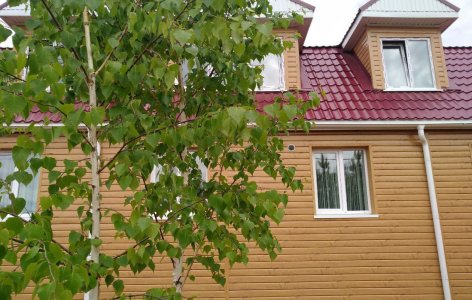 Дом престарелых «Сосновый бор» 