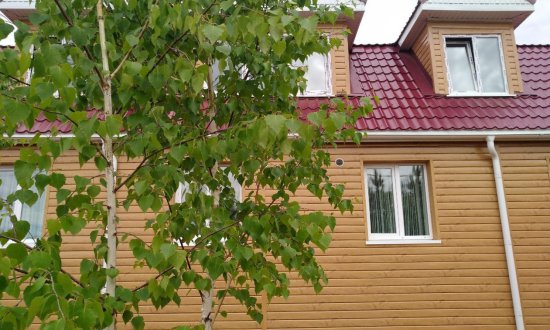 Дом престарелых «Сосновый бор»