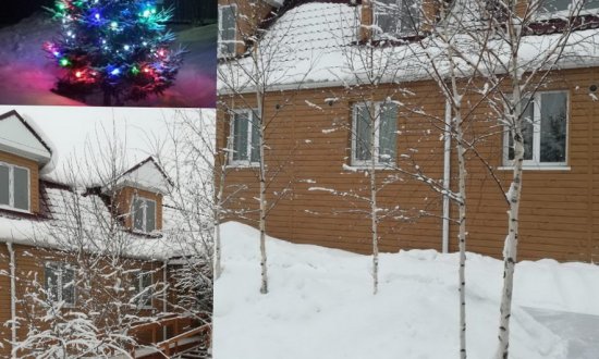 Дом престарелых «Сосновый бор» фото 4