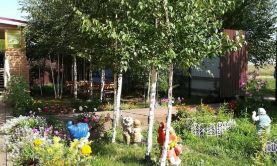 Дом престарелых «Сосновый бор» фото 5